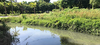 沿用城市思維？農村黑臭水體治理“行不通”！