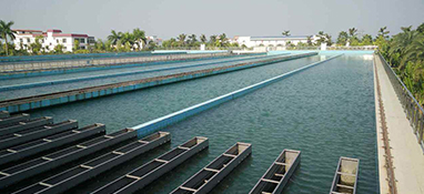 近10年 我國有哪些水廠實現了“智慧化”？